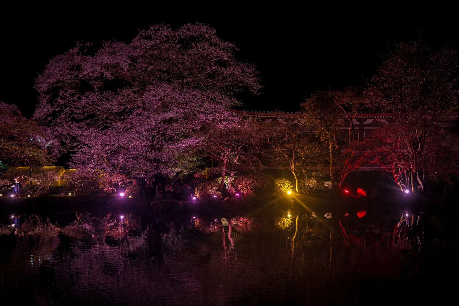 Landscape lighting at dusk in Peoria, AZ